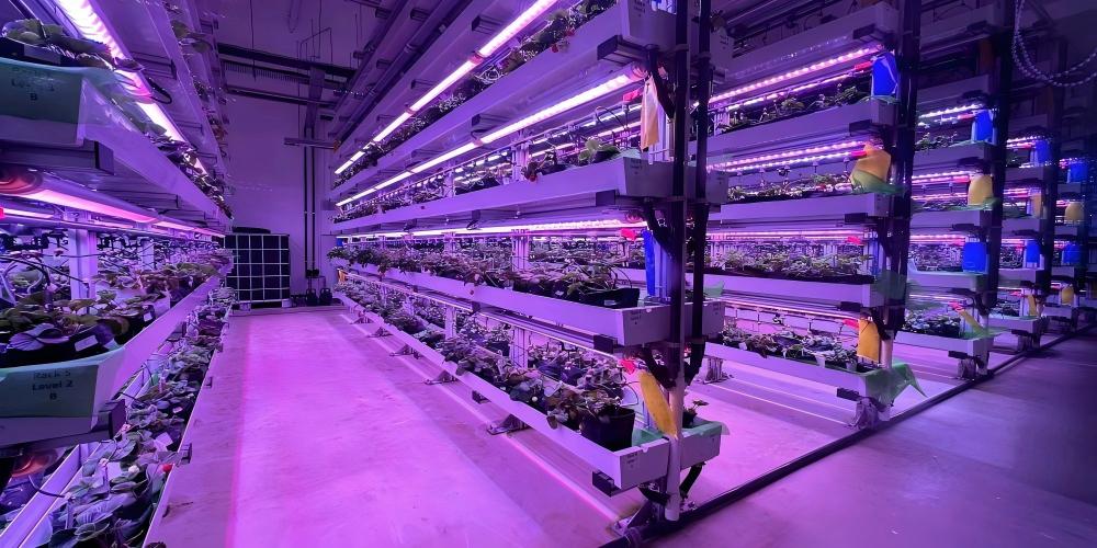 HELLION Vertical Farm LED Solution