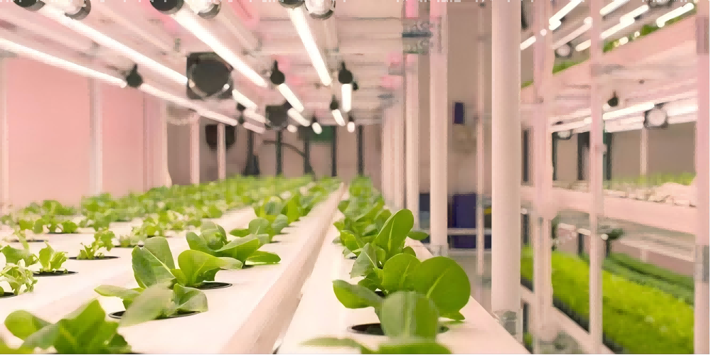 HELLION Vertical Farm LED Solution